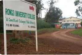 Rongo University student's admission letter and KUCCPS pdf list download.