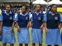 KMTC Branches, Courses, Requirements, Fees and how to apply.