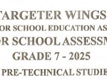 Grade 7 Targeter Exams Free Downloads