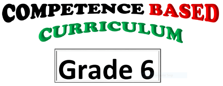 Grade Six Free Notes