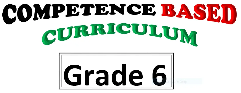 Grade Six Free Notes