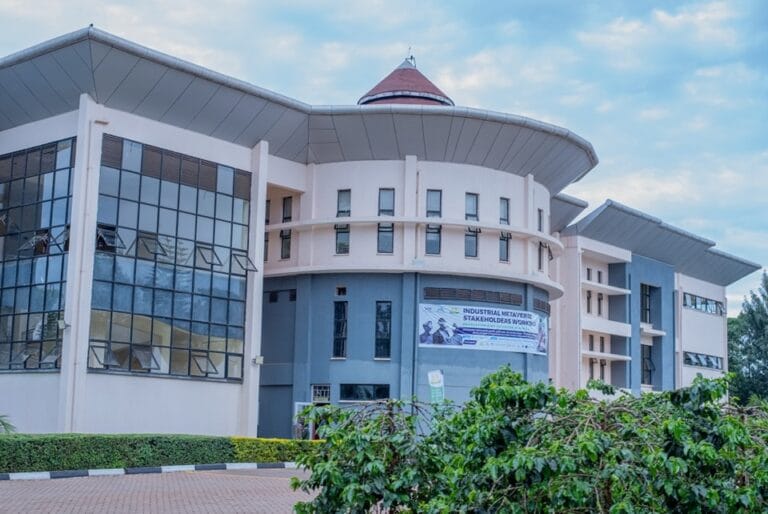 Dedan Kimathi University’s KUCCPS admission letters, pdf Lists Portal login