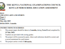 Knec 2025 Grade 7, 8 and 9 assessment projects with marking schemes