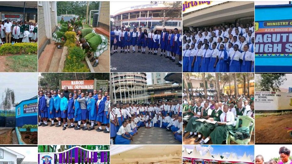 Extra County C2 Schools in Kenya : Get all the Senior Schools' Grade 10-12 CBE Subjects, Grade 10 Admissions, Pathways, Contacts, Location, Fees, Admission, Photos {Full Details}
